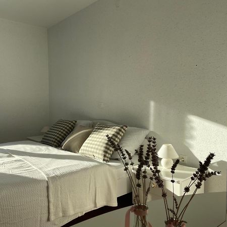 Beautiful House Surrounded By Pure Nature Rogasovci Екстер'єр фото
